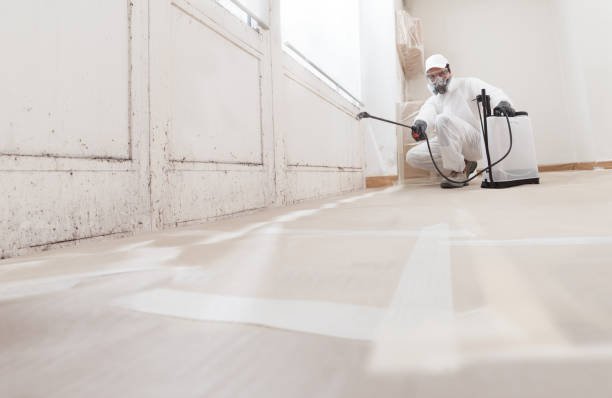 24/7 Emergency Mold Remediation experts in Florence, CO