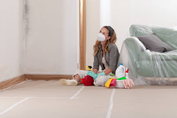 Reliable Mold Remediation contractor in Florence, CO by WQB Mold Removal